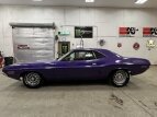 Thumbnail Photo 1 for New 1970 Dodge Challenger